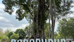 Tak Pernah Bosan Datang ke Candi Borobudur