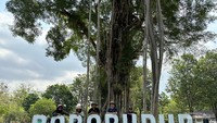 Borobudur memang memiliki daya tarik tersendiri bagi wisatawan