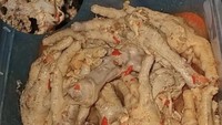 Ceker Pedas Anggodo tawarkan ceker pedas level sedang hingga pedas. Harganya terjangkau, Rp 10 ribu. Gerainya berlokasi di Jalan Anggodo Nomor 18, Malang. Foto: cekerpedasanggodo