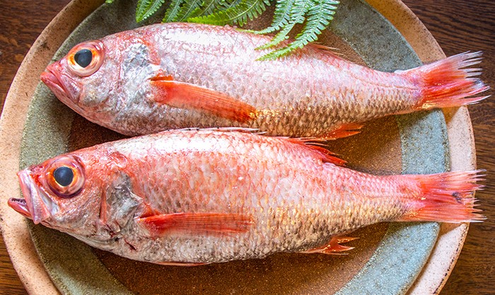 Ini Nodoguro, Ikan Termahal di Korea yang Harganya  Rp 300 Ribu Seekor!