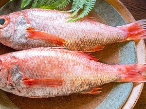 Ini Nodoguro, Ikan Termahal di Korea yang Harganya Rp 300 Ribu Seekor!