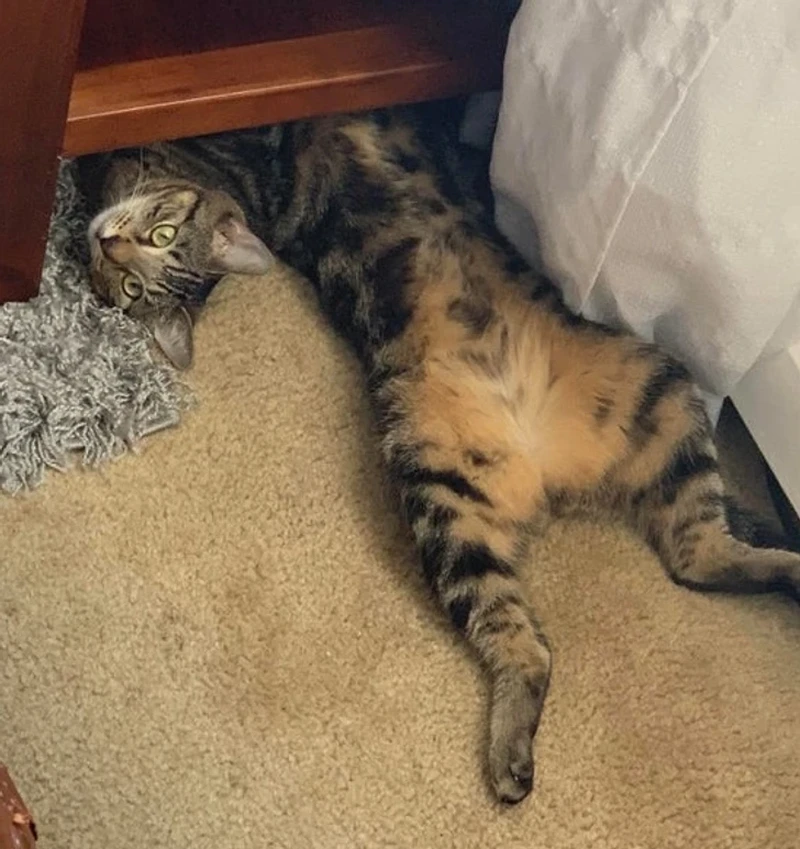 Kumpulan Objek Foto yang Harus Dilihat Lebih Teliti