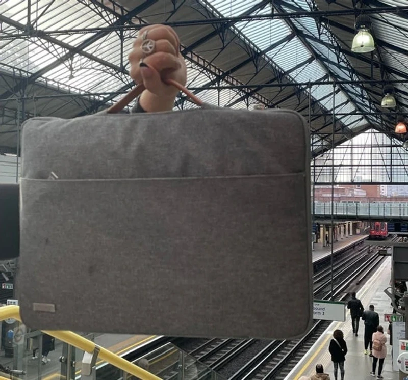 Kumpulan Objek Foto yang Harus Dilihat Lebih Teliti