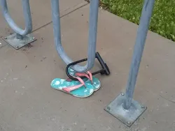 Kumpulan Objek Foto yang Harus Dilihat Lebih Teliti