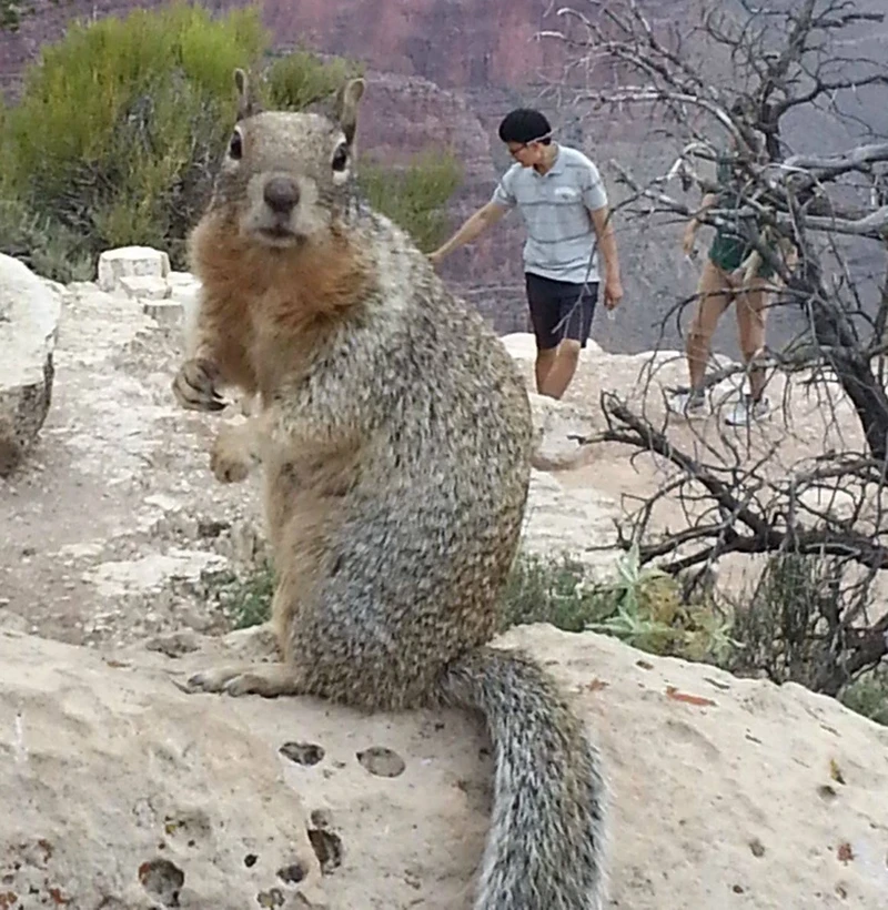 Kumpulan Objek Foto yang Harus Dilihat Lebih Teliti