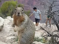 Kumpulan Objek Foto yang Harus Dilihat Lebih Teliti