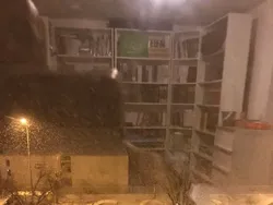 Kumpulan Objek Foto yang Harus Dilihat Lebih Teliti