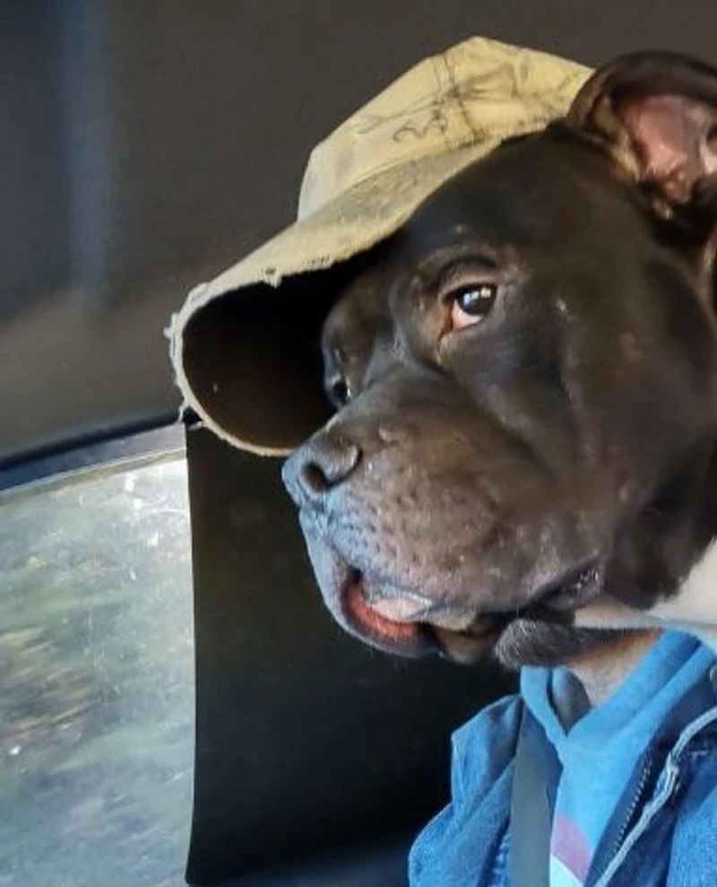 Kumpulan Objek Foto yang Harus Dilihat Lebih Teliti