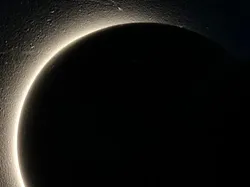 Kumpulan Objek Foto yang Harus Dilihat Lebih Teliti