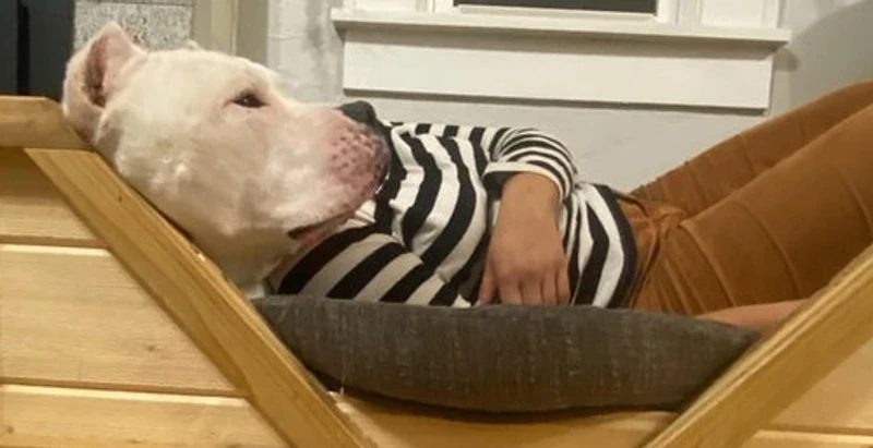 Kumpulan Objek Foto yang Harus Dilihat Lebih Teliti