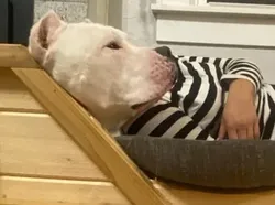 Kumpulan Objek Foto yang Harus Dilihat Lebih Teliti