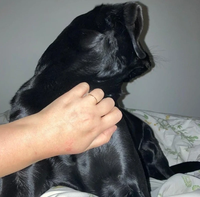 Kumpulan Objek Foto yang Harus Dilihat Lebih Teliti