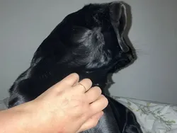 Kumpulan Objek Foto yang Harus Dilihat Lebih Teliti