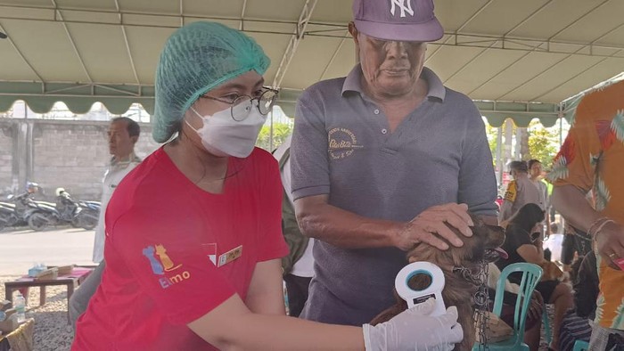Salah satu petugas menunjukkan alat pendeteksi dan micro chip yang akan dipasangkan pada anjing, di Jalan Tukad Nyali, Sanur Kaja, Denpasar, Bali, Senin (9/10/2023).