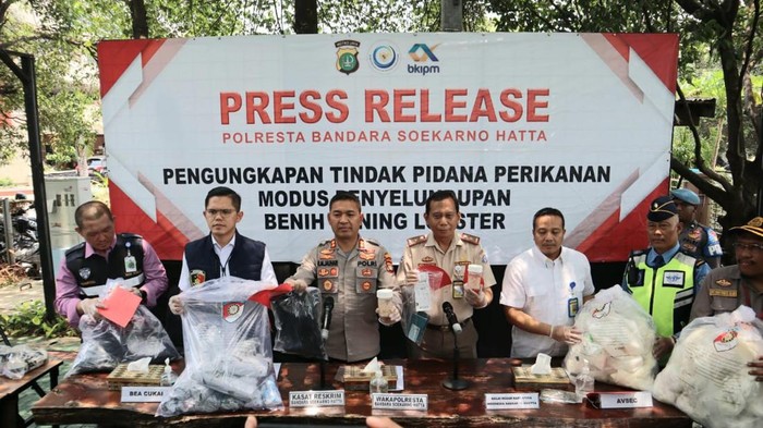 Polres Bandara Soekarno-Hatta menggagalkan pengiriman benih lobster ke luar negeri