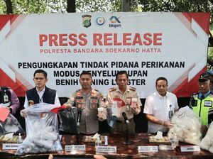 Penyelundupan Benih Lobster ke LN Digagalkan di Soetta, 2 Kurir Ditangkap