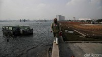Beberapa hari lalu sebuah video seorang pria memperlihatkan sebuah tanggul laut raksasa yang berfungsi untuk mencegah Jakarta akan tenggelam.
