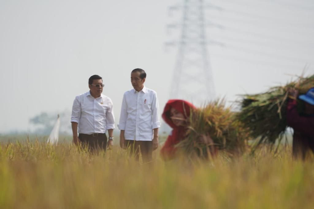Presiden Joko Widodo didampingi Kepala Bapanas/Plt. Menteri Pertanian saat meninjau panen di padi di Subang, Minggu (8/10/2023). (Dok: Humas Bapanas)