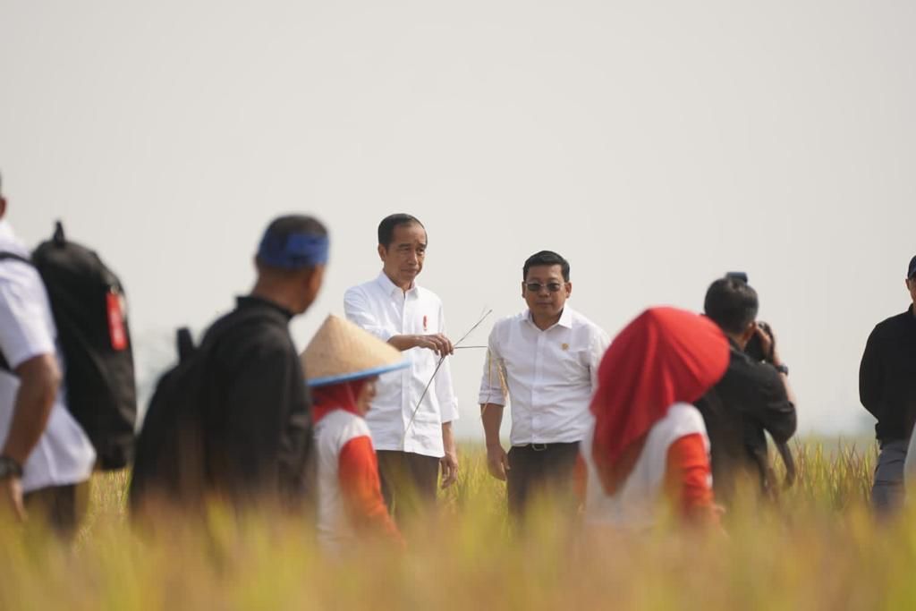 Presiden Joko Widodo didampingi Kepala Bapanas/Plt. Menteri Pertanian saat meninjau panen di padi di Subang, Minggu (8/10/2023). (Dok: Humas Bapanas)