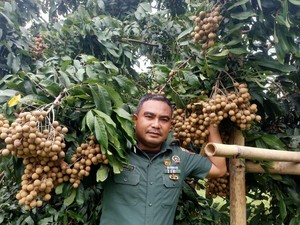 Serda Mugiyanto, Jenderal Lengkeng yang Kembangkan Kebun Buah di Magelang