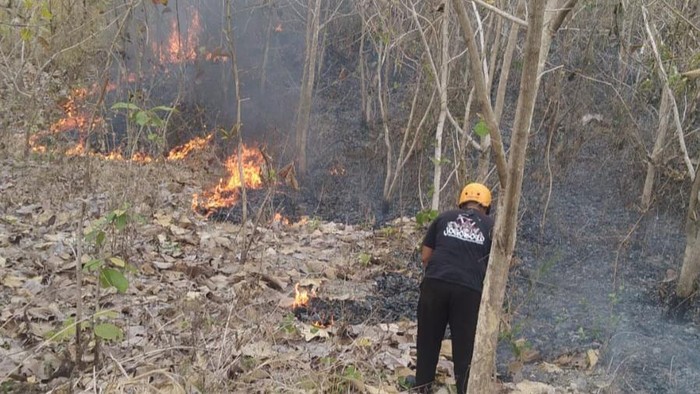 TRC, Damkar, dan relawan menangani kebakaran di Bayat, Klaten. Api saat ini sudah padam, Senin (9/10/2023).
