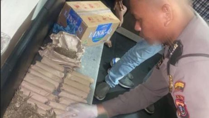 23 bungkus ganja tak bertuan yang ditemukan polisi di Kanal Delitua, Medan. (Istimewa)