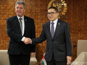 Fadli Zon soal Konflik Hamas-Israel: Upaya Palestina Pertahankan Diri