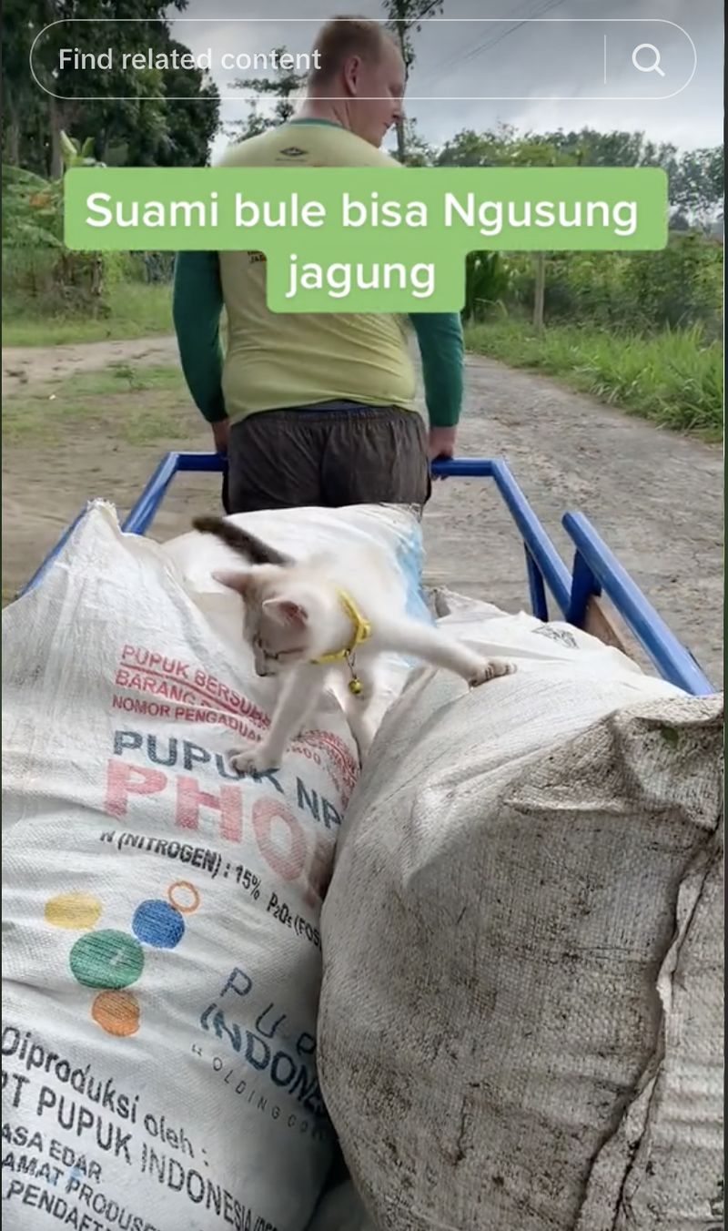Gokil! 5 Bule Ini Coba Jadi Tukang Kelapa hingga Jualan Kue Subuh di Indonesia