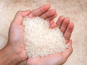 Pemerintah Naikkan Harga Beras Medium, di Sumut jadi Rp 14 Ribu/Kg
