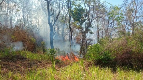 Kebakaran di lereng Gunung Agung yang ada di wilayah Desa Dukuh, Kecamatan Kubu, Karangasem, pada Selasa (10/10/2023). (Dok. BPBD Kabupaten Karangasem)