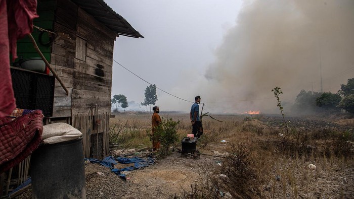 Api membakar lahan di Desa Teluk Kecapi, Pemulutan, Ogan Ilir (OI), Sumatera Selatan, Senin (9/10/2023). Petugas masih terus berupaya melakukan pemadaman kebakaran lahan di daerah tersebut. ANTARA FOTO/Nova Wahyudi/aww.