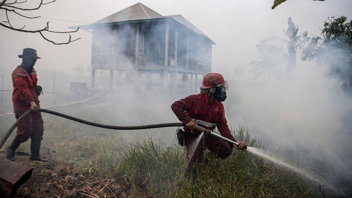 Api membakar lahan di Desa Teluk Kecapi, Pemulutan, Ogan Ilir (OI), Sumatera Selatan, Senin (9/10/2023). Petugas masih terus berupaya melakukan pemadaman kebakaran lahan di daerah tersebut. ANTARA FOTO/Nova Wahyudi/aww.