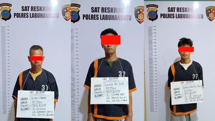 Komplotan pencuri kerbau yang sudah ditangkap polisi di Labuhanbatu