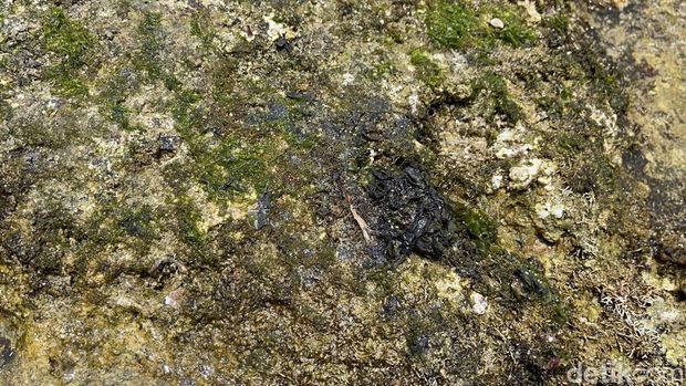 Kondisi terkini gumpalan hitam di Pantai Krakal, Gunungkidul, Selasa (10/10/2023).