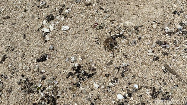 Kondisi terkini gumpalan hitam di Pantai Krakal, Gunungkidul, Selasa (10/10/2023).