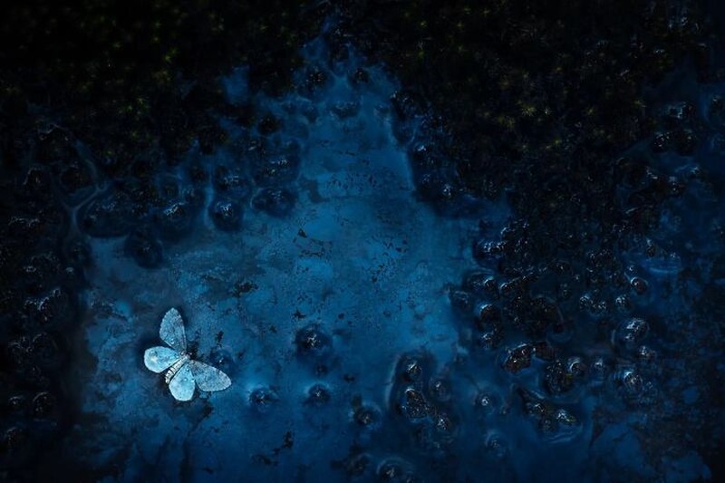 Nature TTL Photographer of the Year 2023