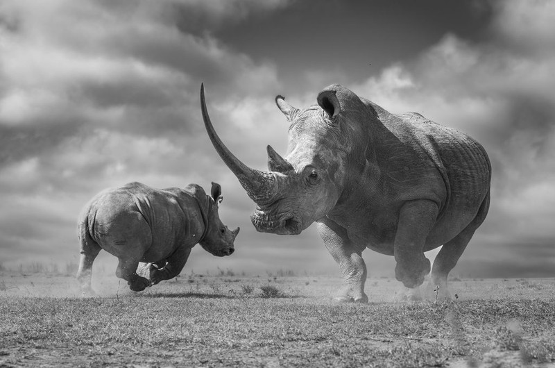 Nature TTL Photographer of the Year 2023