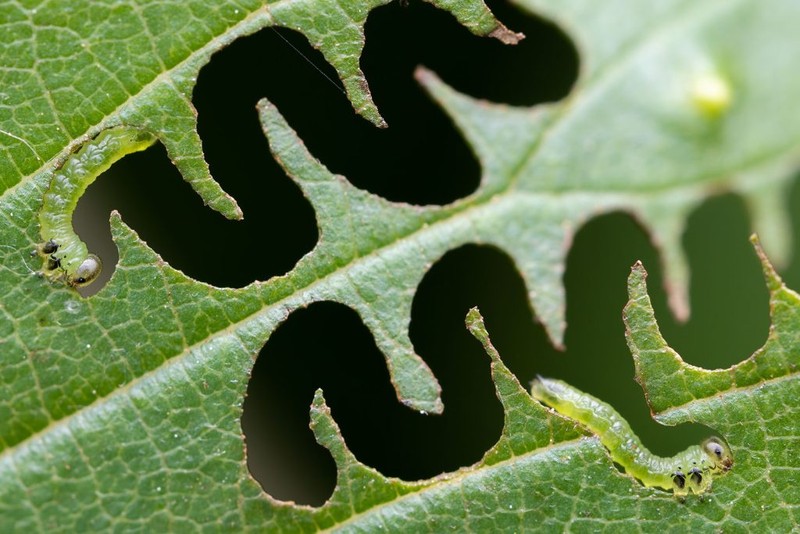 Nature TTL Photographer of the Year 2023