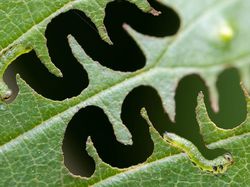 Karya Jawara Kontes Foto Alam Bikin Terkesima