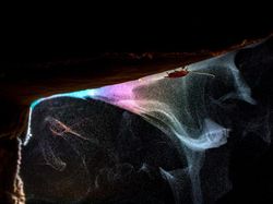 Karya Jawara Kontes Foto Alam Bikin Terkesima