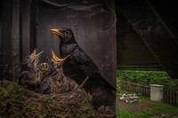 Nature TTL Photographer of the Year 2023