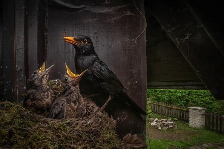 Nature TTL Photographer of the Year 2023