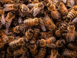 Karya Jawara Kontes Foto Alam Bikin Terkesima