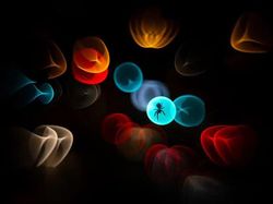 Karya Jawara Kontes Foto Alam Bikin Terkesima