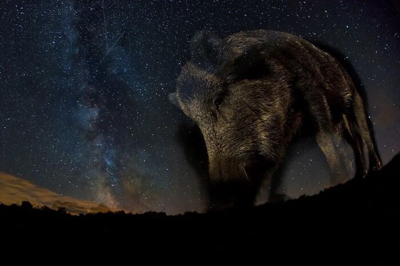 Nature TTL Photographer of the Year 2023