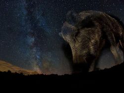 Karya Jawara Kontes Foto Alam Bikin Terkesima