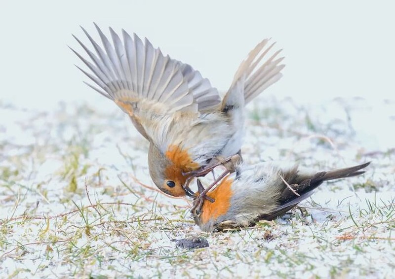 Nature TTL Photographer of the Year 2023