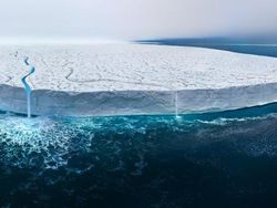 Karya Jawara Kontes Foto Alam Bikin Terkesima