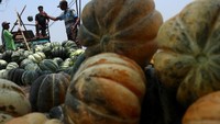 Menurut tengkulak dalam sehari permintaan blewah yang biasa dikirim ke berbagai kota itu pada musim kemarau mengalami peningkatan yang signifikan hingga 15 - 17 ton setiap hari dengan harga Rp3 ribu per kilogramnya.  