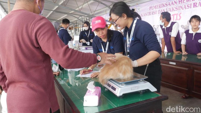 Ratusan Ekor Binatang Piaraan di Pacitan Divaksinasi Cegah Rabies